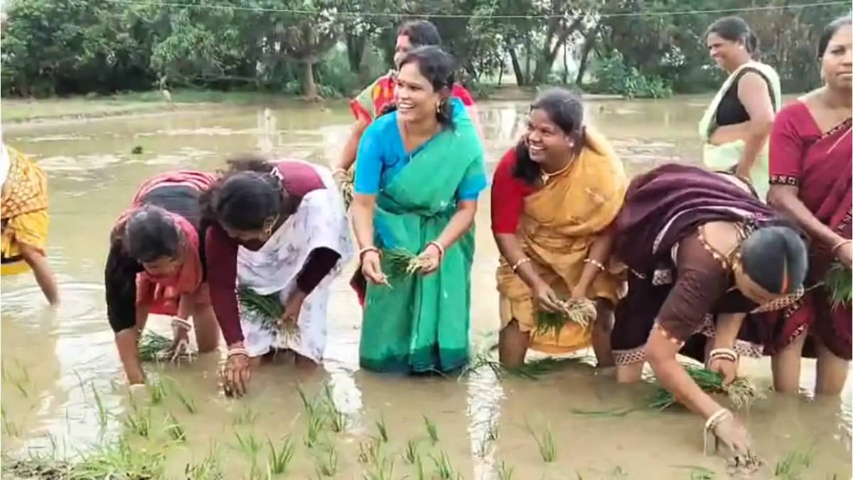 Bihar News : महाकार में विधायक दीपा मांझी ने खेत में उतरकर क Bihar News : महाकार में विधायक दीपा मांझी ने खेत में उतरकर क