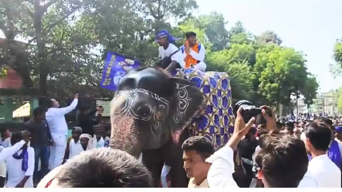 Bihar Election : हाथी पर सवार होकर शाही अंदाज में नामांकन कर Bihar Election : हाथी पर सवार होकर शाही अंदाज में नामांकन कर