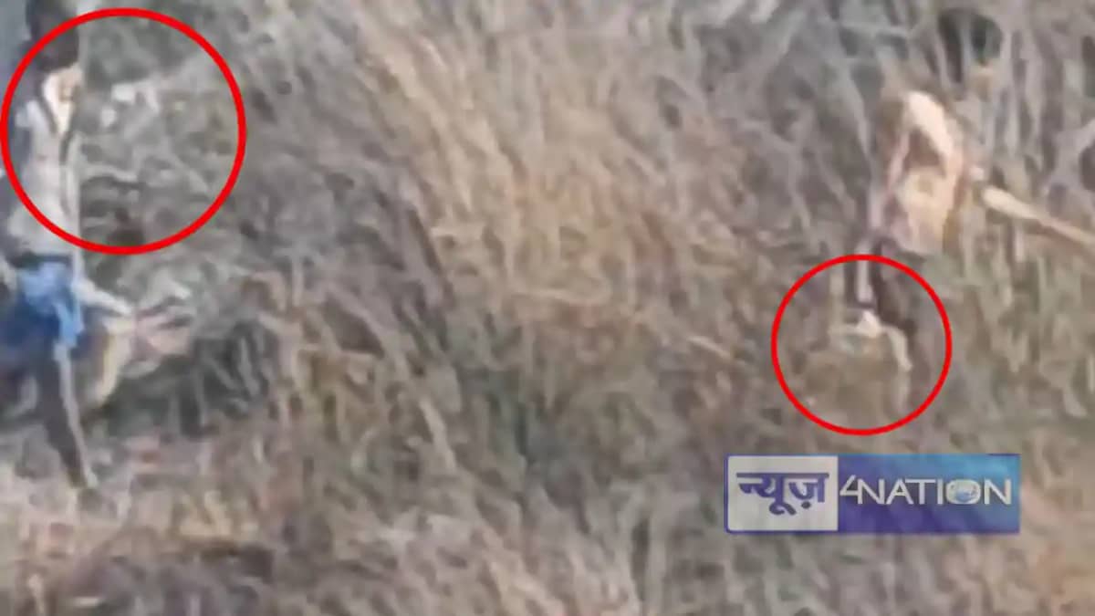 सिवान में शराबबंदी कानून की खुली अवहेलना: वायरल वीडियो में द सिवान में शराबबंदी कानून की खुली अवहेलना: वायरल वीडियो में द