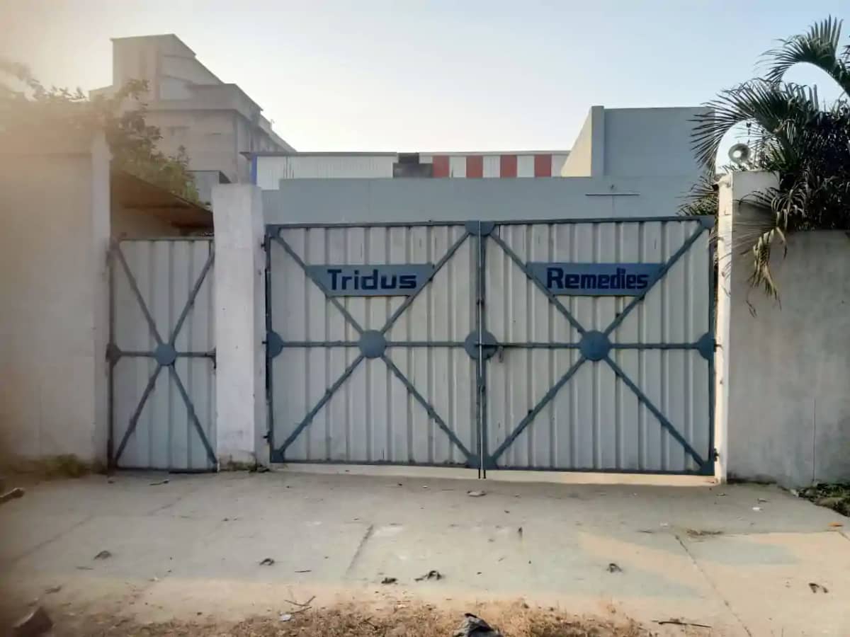 दवा कंपनी पर लटका ताला:ड्रग विभाग की नाक के नीचे चल रहा था म दवा कंपनी पर लटका ताला:ड्रग विभाग की नाक के नीचे चल रहा था म