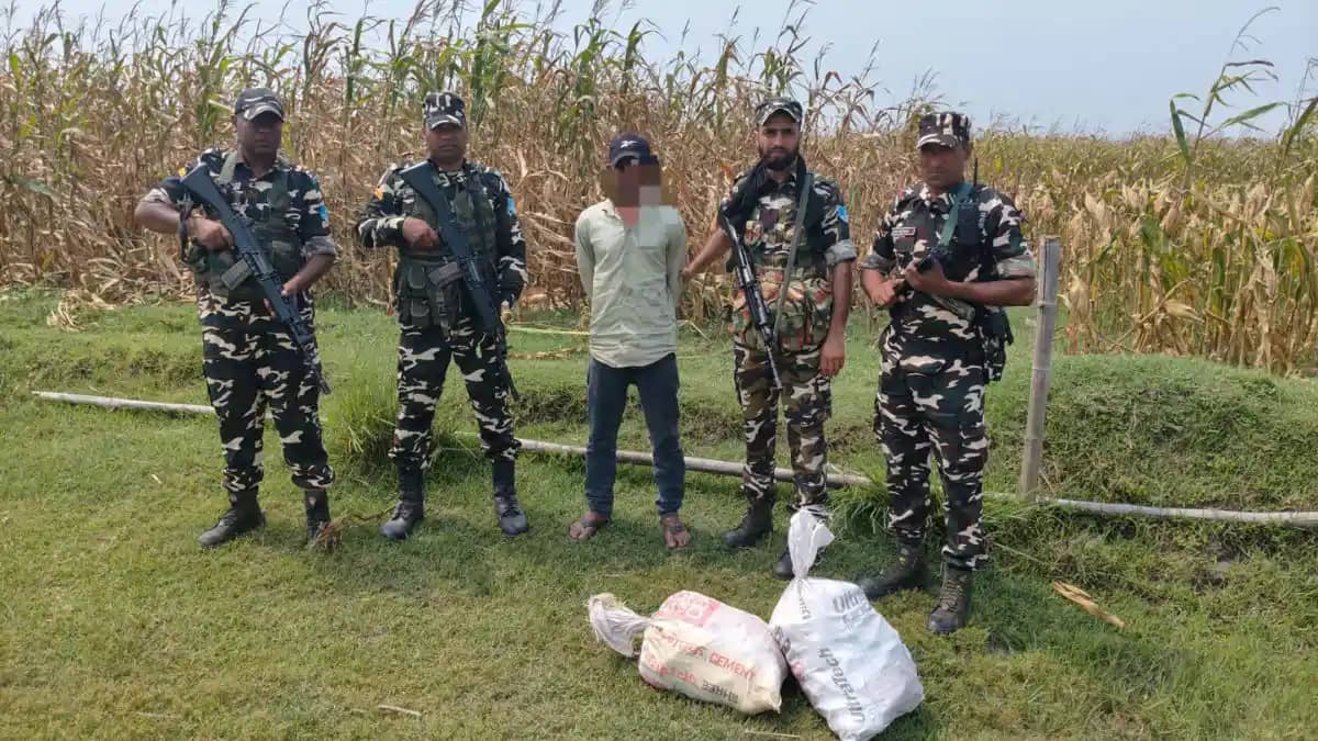 एसएसबी की बड़ी कार्रवाई: 240 बोतल प्रतिबंधित कफ सिरप के साथ एसएसबी की बड़ी कार्रवाई: 240 बोतल प्रतिबंधित कफ सिरप के साथ
