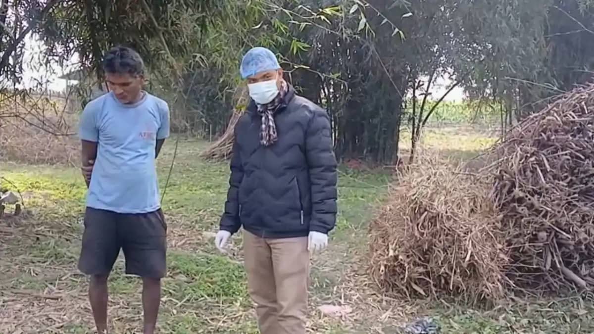 Bird Flu Alert in Katihar After Mass Crow Deaths Bird Flu Alert in Katihar After Mass Crow Deaths