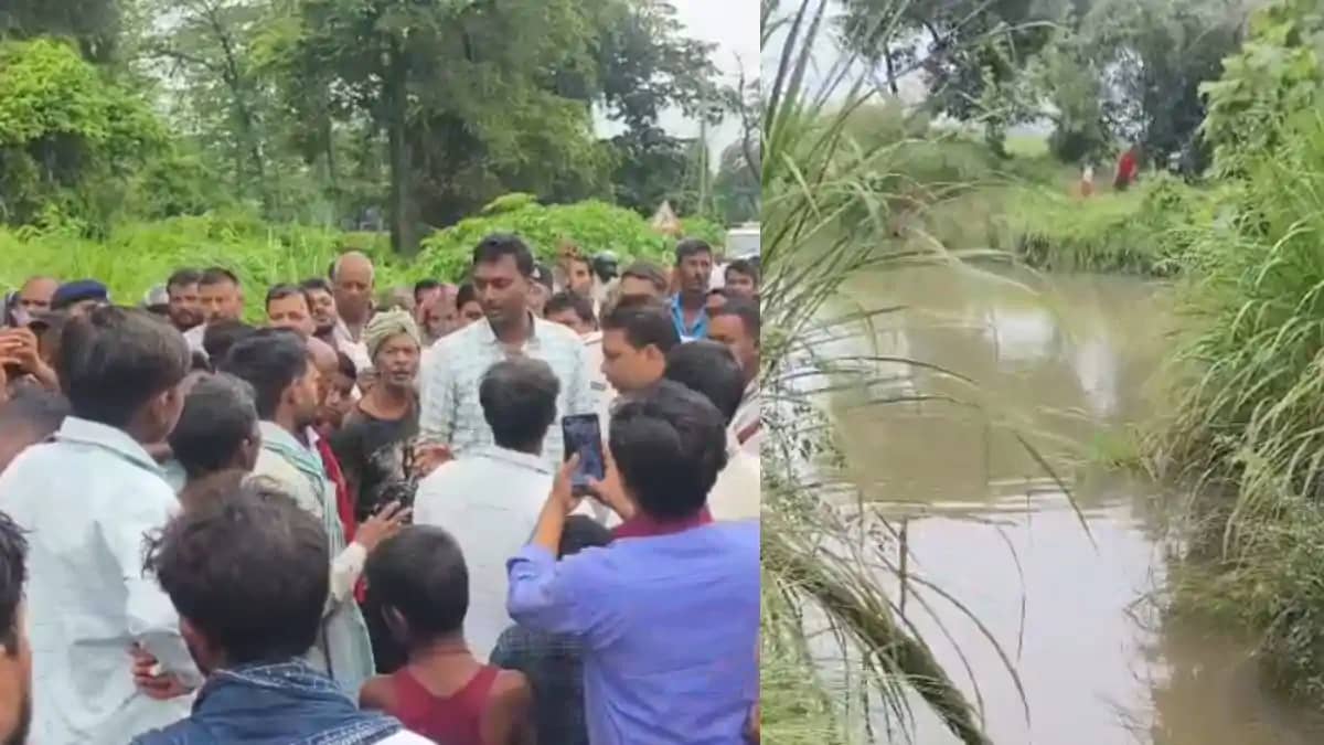 Fear of a crocodile in Bhapsa Nala it dragged Fear of a crocodile in Bhapsa Nala it dragged