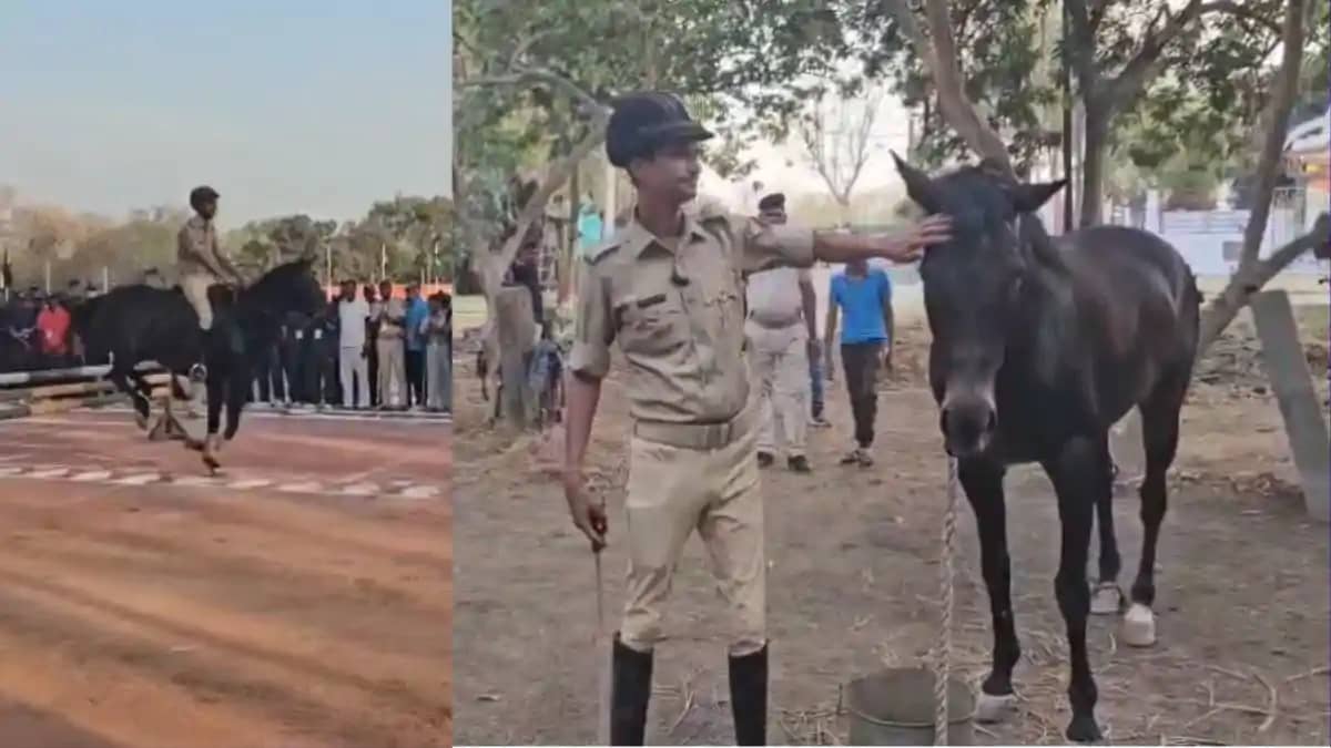 मैदान में उतरते ही गायब हो जाती है धूल! जिसने 11 गोल्ड दिलाक मैदान में उतरते ही गायब हो जाती है धूल! जिसने 11 गोल्ड दिलाक