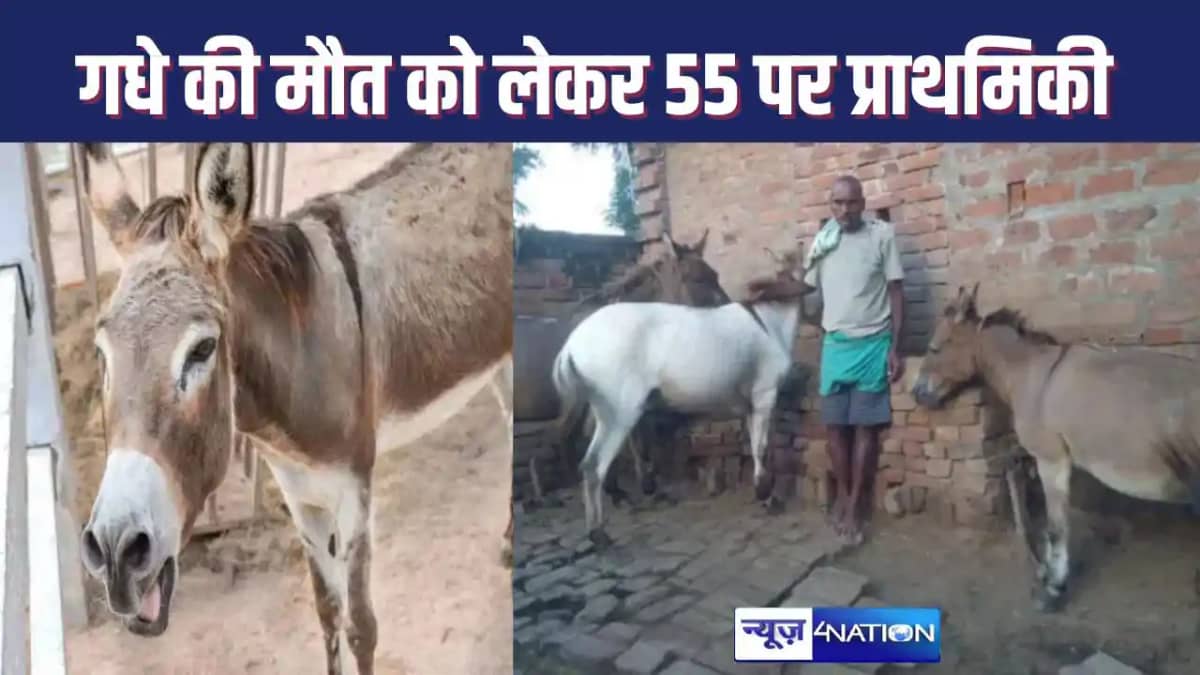 BIHAR NEWS : गधे की मौत के बाद पुलिस ने 55 लोगों के खिलाफ दर BIHAR NEWS : गधे की मौत के बाद पुलिस ने 55 लोगों के खिलाफ दर