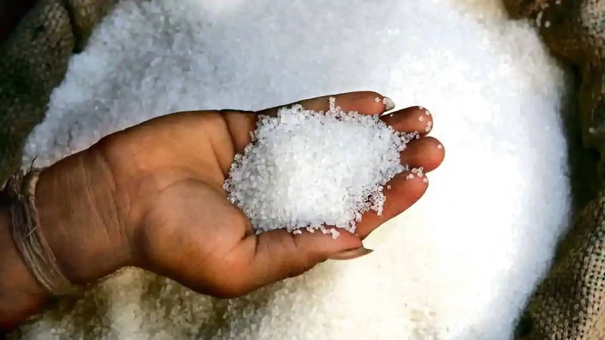 Sugar Price Today Sugar Price Today