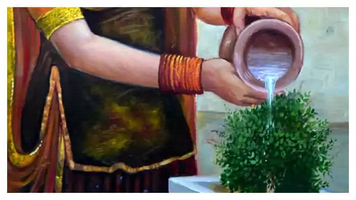 Tulsi Tulsi