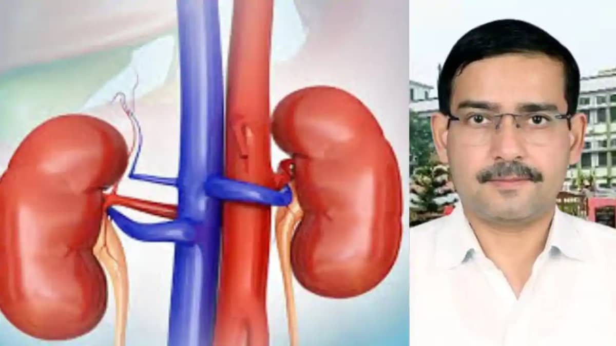 Kidney inflammation symptoms Kidney inflammation symptoms