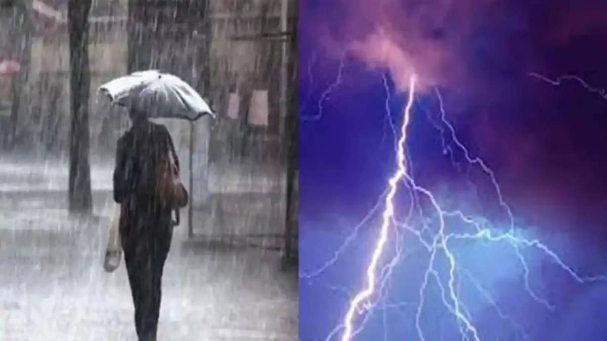 Mausam News Mausam News