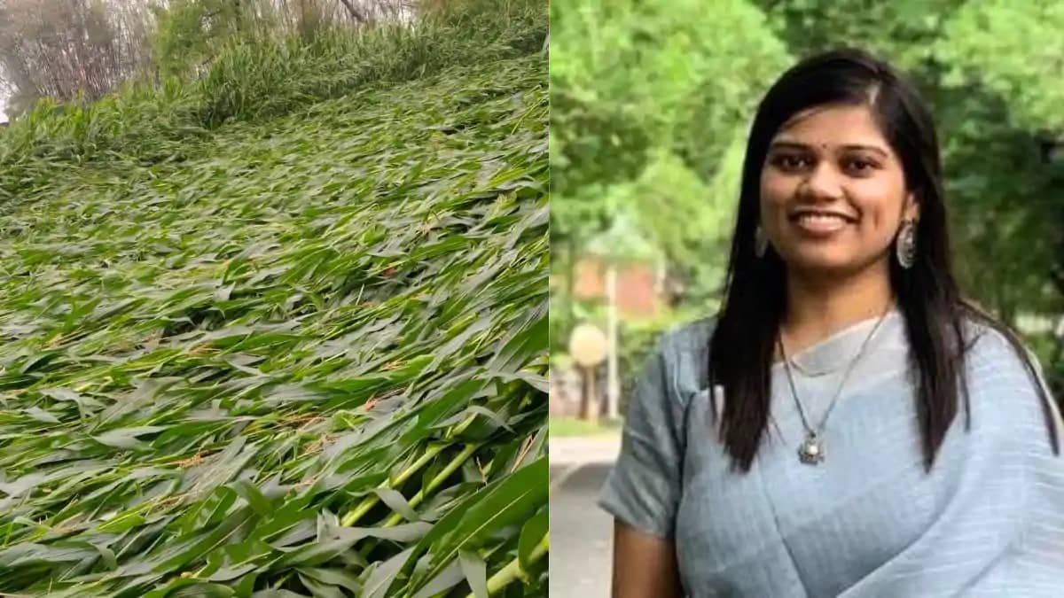 Bihar News : बिहार के कई जिलों में आंधी पानी ने मचाई तबाही, Bihar News : बिहार के कई जिलों में आंधी पानी ने मचाई तबाही,