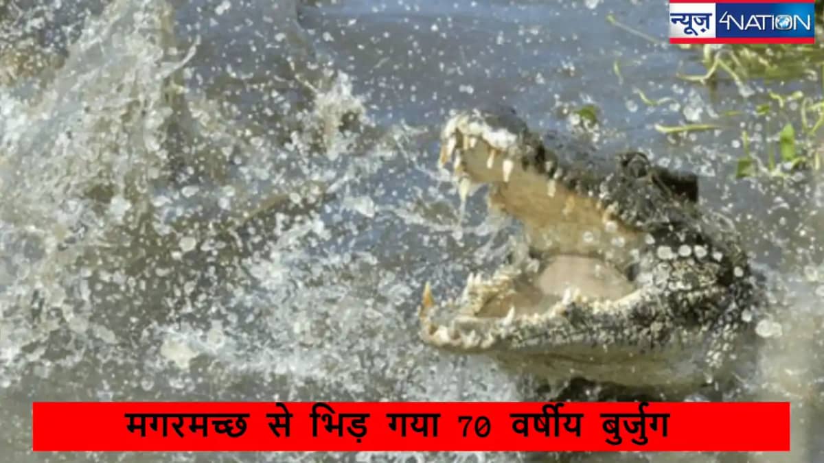 crocodile attacks: 70 साल के बुजुर्ग और 12 फीट के मगरमच्छ म crocodile attacks: 70 साल के बुजुर्ग और 12 फीट के मगरमच्छ म