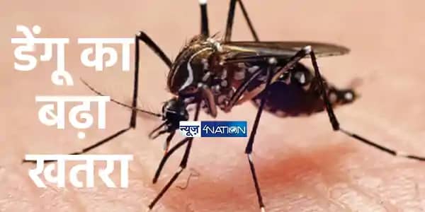 UP NEWS: लखनऊ में डेंगू का कहर: 20 दिनों में 1062 नए मामले, UP NEWS: लखनऊ में डेंगू का कहर: 20 दिनों में 1062 नए मामले,