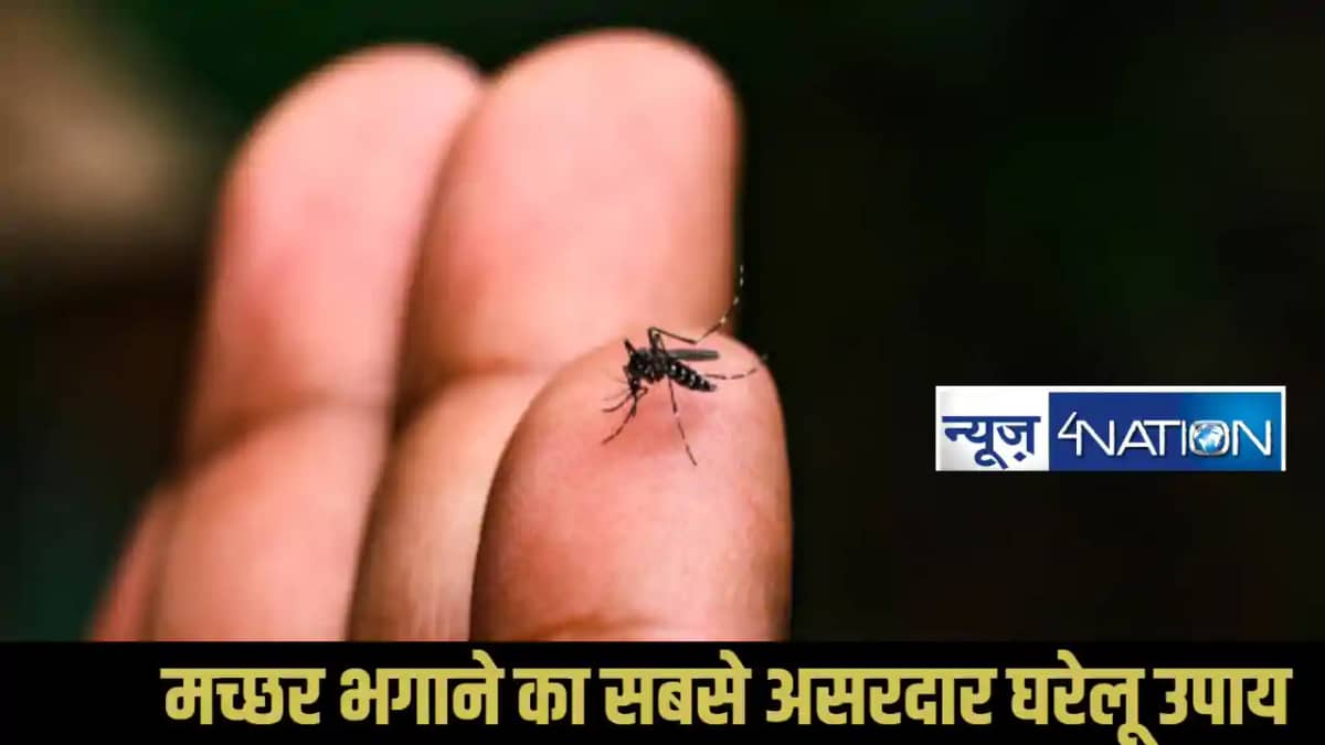 Natural Mosquito Repellent Natural Mosquito Repellent