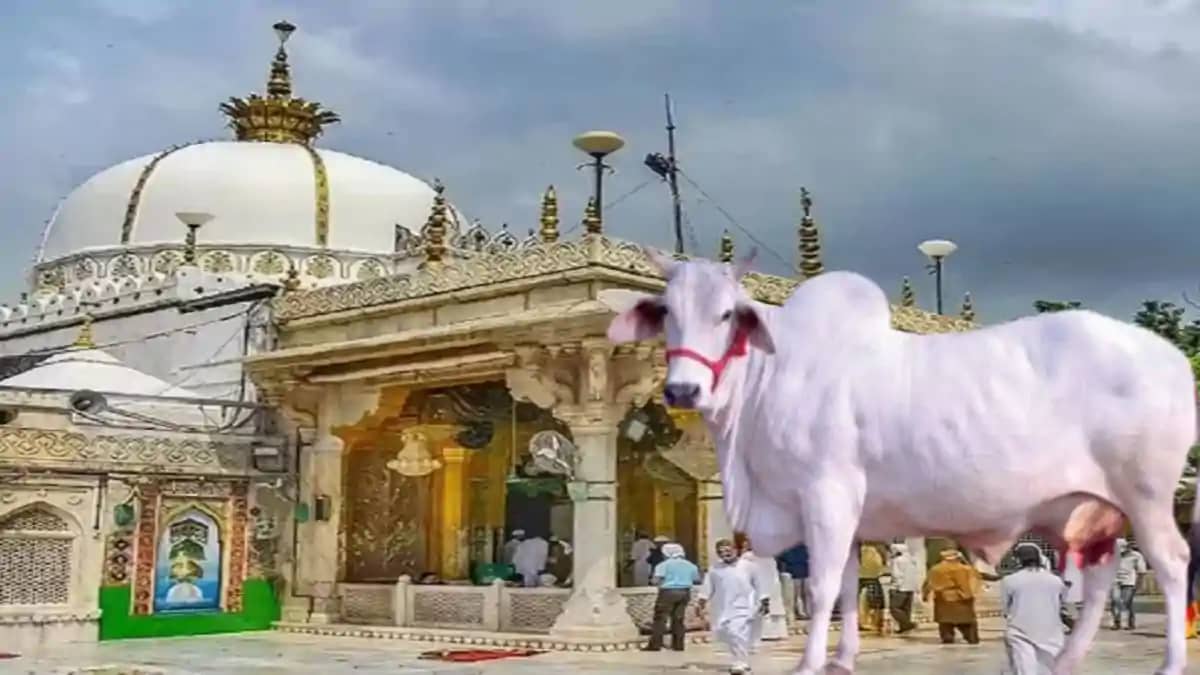 Ajmer Sharif cleric on cow Ajmer Sharif cleric on cow
