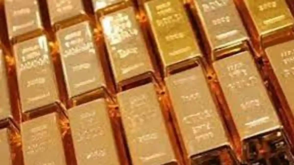 Patna DRI Seizes Patna DRI Seizes