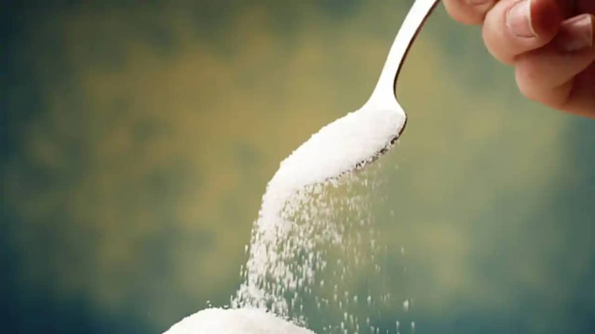Sugar Price Today Sugar Price Today