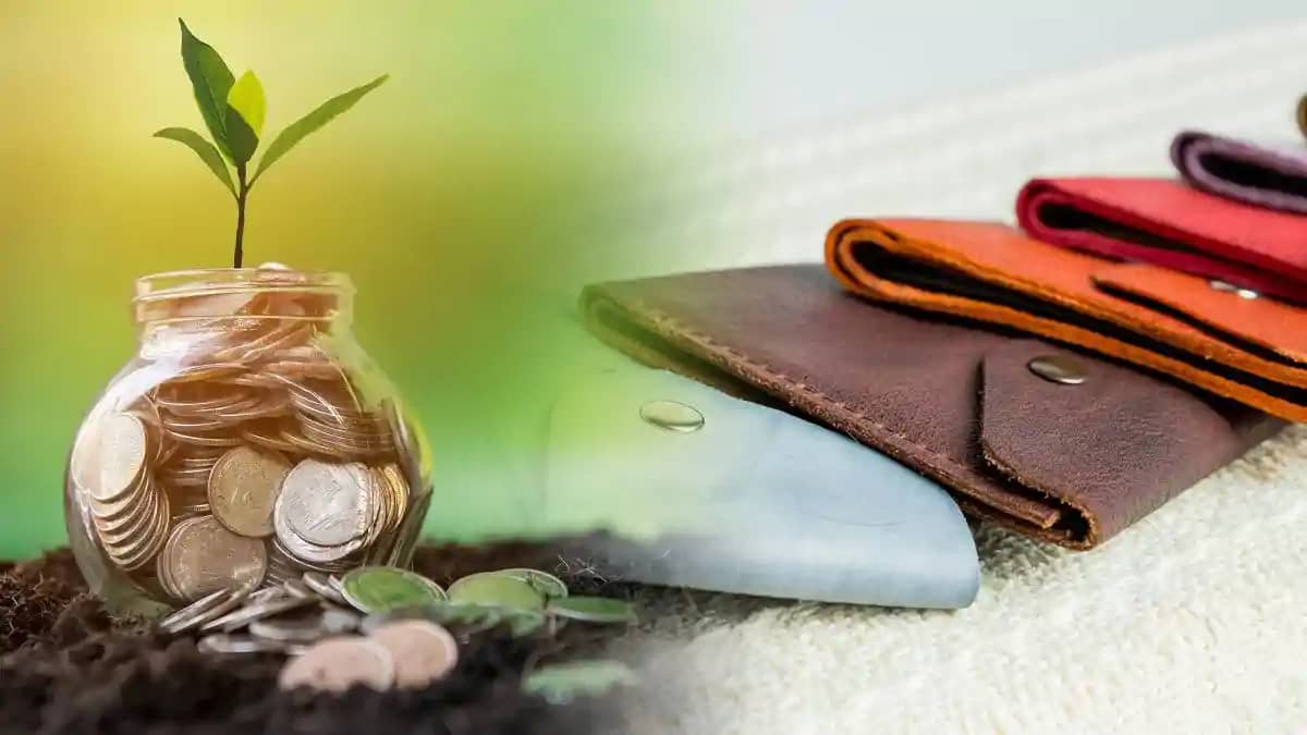 Lucky Colour of Wallets Lucky Colour of Wallets