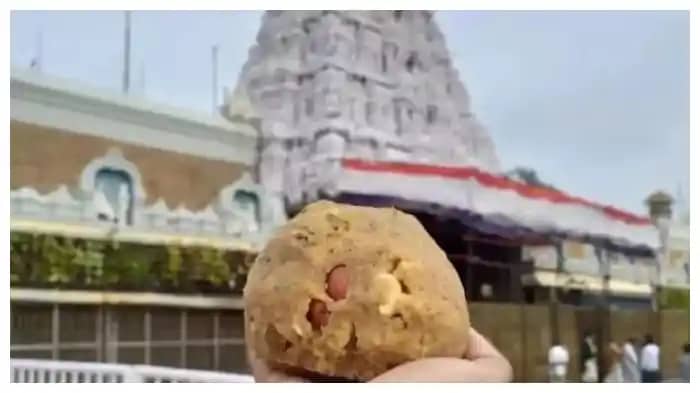 तिरुपति बालाजी का प्रसाद अगर आपने भी खाया है, तो इस मंत्र का तिरुपति बालाजी का प्रसाद अगर आपने भी खाया है, तो इस मंत्र का