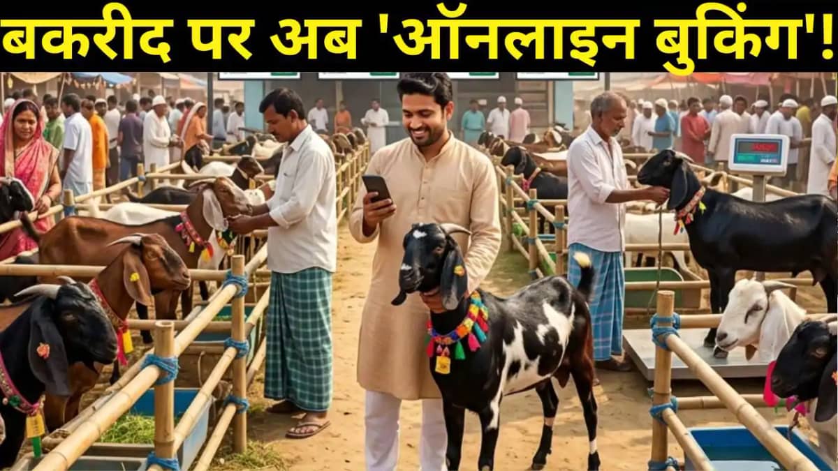 बकरीद पर अब 'ऑनलाइन बुकिंग'! बिहार सहित 4 राज्यों में पहली ब बकरीद पर अब 'ऑनलाइन बुकिंग'! बिहार सहित 4 राज्यों में पहली ब