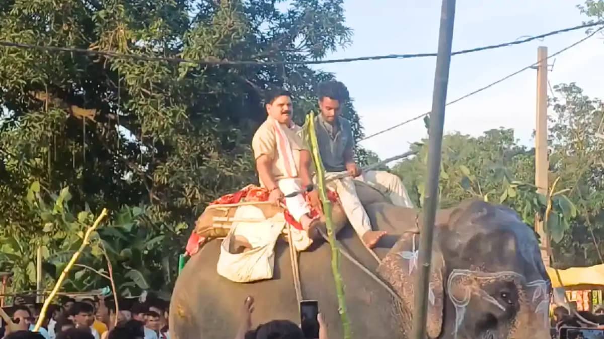Bihar News : केंद्रीय मंत्री सतीश चन्द्र दुबे ने हाथी पर सवा Bihar News : केंद्रीय मंत्री सतीश चन्द्र दुबे ने हाथी पर सवा