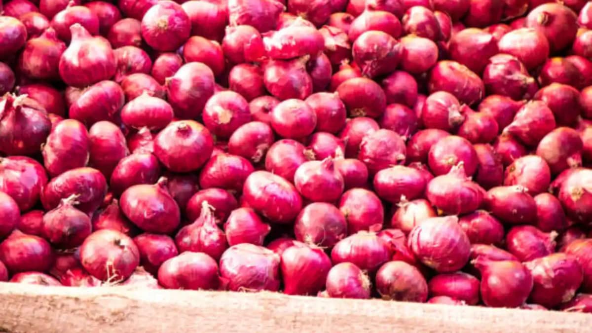 onion price onion price
