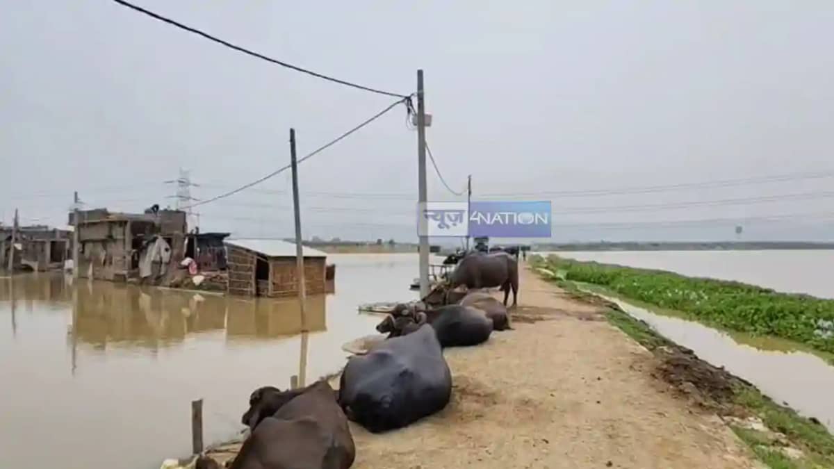 Bihar Flood: मुंगेर में बाढ़ का 'तांडव' शुरू, खेत डूबे, चारा Bihar Flood: मुंगेर में बाढ़ का 'तांडव' शुरू, खेत डूबे, चारा