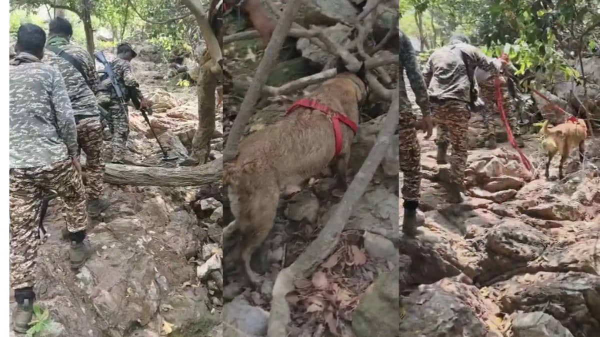 Munger Police STF Operation inside Bhaisadah Forest Munger Police STF Operation inside Bhaisadah Forest