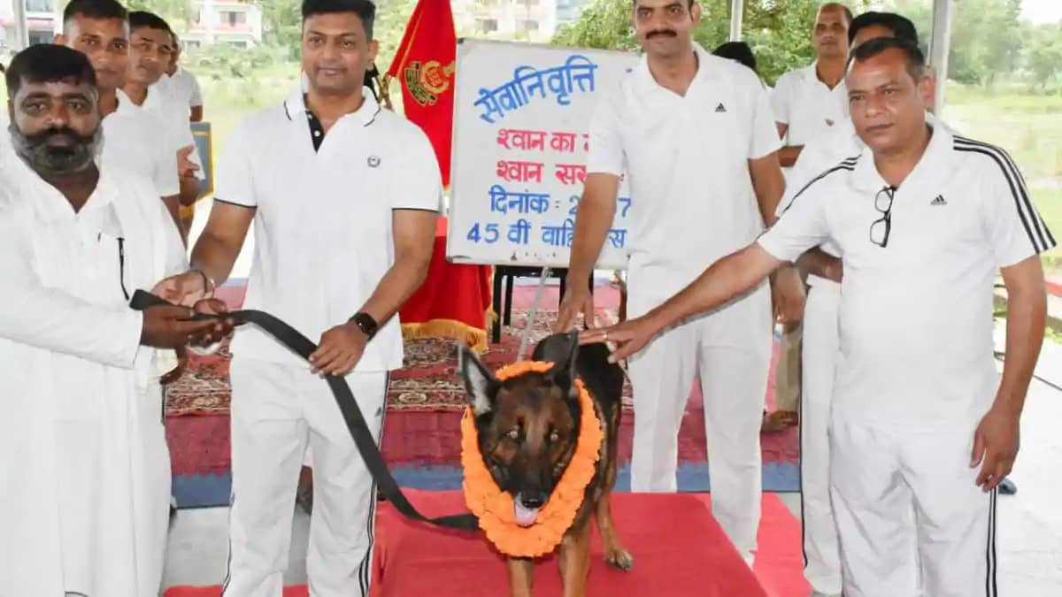 8 वर्षों की गौरवपूर्ण सेवा के बाद रिटायर हुई SSB की स्निफर ड 8 वर्षों की गौरवपूर्ण सेवा के बाद रिटायर हुई SSB की स्निफर ड
