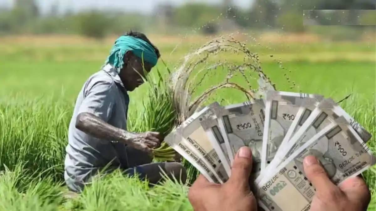 Agricultural Input Subsidy Scheme Agricultural Input Subsidy Scheme