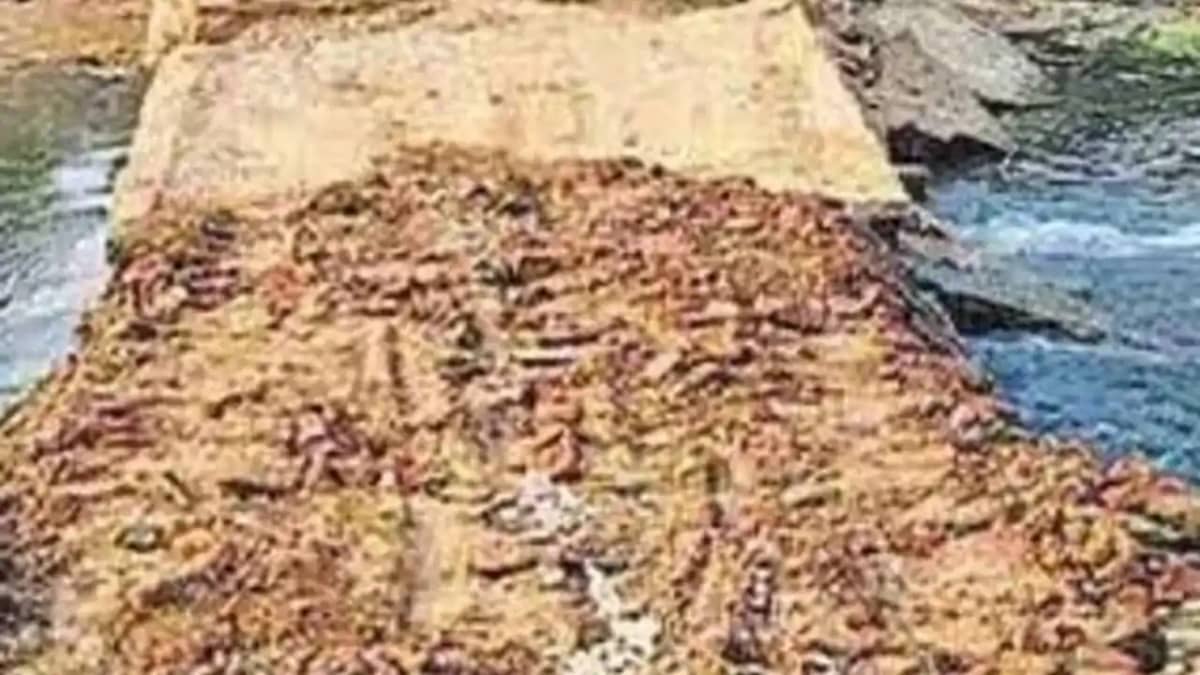 छलका (पुल) धंसा छलका (पुल) धंसा
