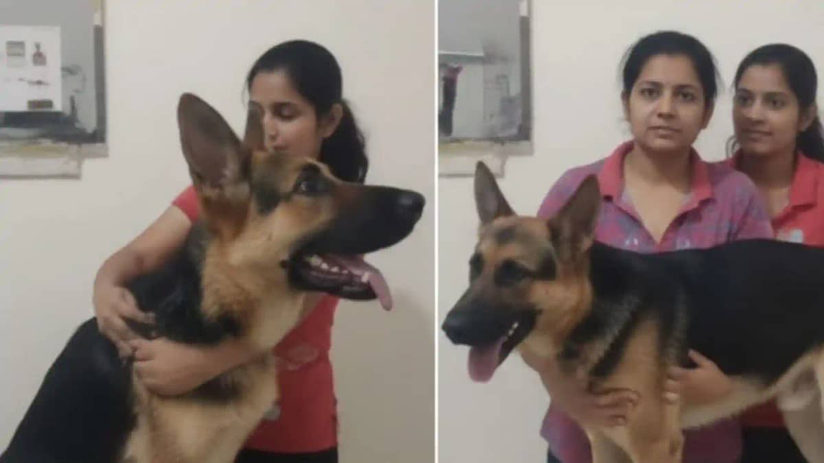 इंसान और जानवर के प्रेम की दुखद दास्तां: बीमार कुत्ते के सदम इंसान और जानवर के प्रेम की दुखद दास्तां: बीमार कुत्ते के सदम