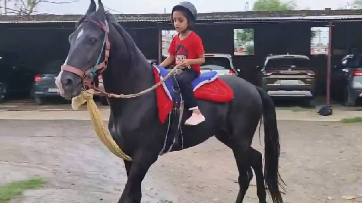 अद्भूत बच्ची! सिर्फ छह साल की उम्र में घुड़सवारी में हासिल क अद्भूत बच्ची! सिर्फ छह साल की उम्र में घुड़सवारी में हासिल क