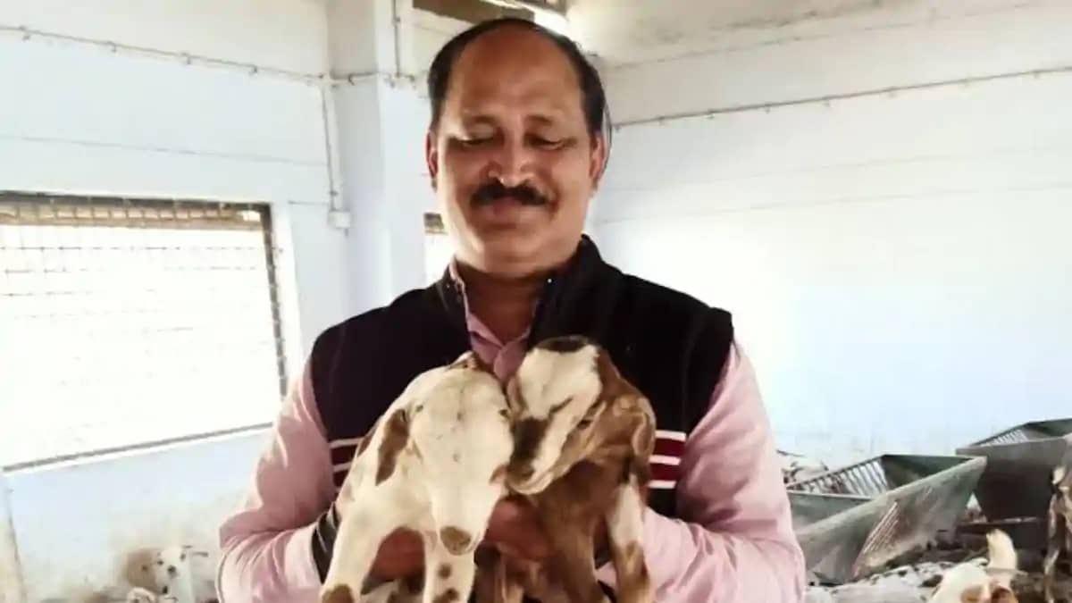 Bihar News : इटली में सम्मानित होंगे बिहार के 'गोट मैन', प्र Bihar News : इटली में सम्मानित होंगे बिहार के 'गोट मैन', प्र