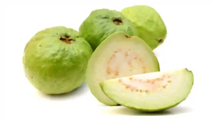 Winter Fruits: कई बीमारियों का इलाज है ये फल और इसके पत्ते, Winter Fruits: कई बीमारियों का इलाज है ये फल और इसके पत्ते,