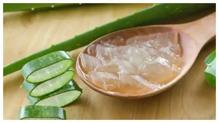 Skin Care Tips: स्किन के हर प्रॉबलम का सॉल्यूशन है एलोवेरा ज Skin Care Tips: स्किन के हर प्रॉबलम का सॉल्यूशन है एलोवेरा ज
