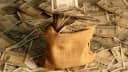 Bank government Bank government