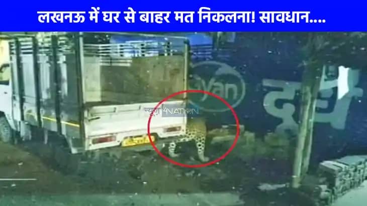 UP NEWS: लखनऊ में बाहर सड़कों पर घूम रहा है तेंदुआ, तेंदुए क UP NEWS: लखनऊ में बाहर सड़कों पर घूम रहा है तेंदुआ, तेंदुए क