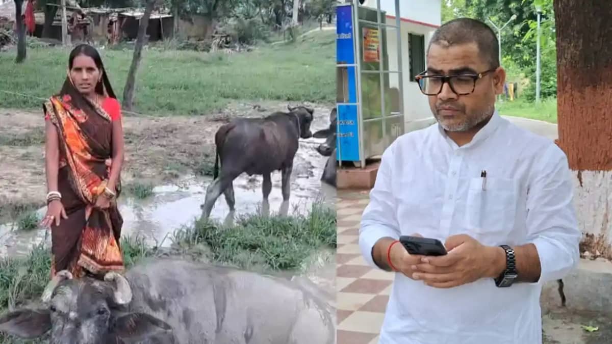 Bihar News : भैंस किसकी? गया में मालिकाना हक तय करने के लिए Bihar News : भैंस किसकी? गया में मालिकाना हक तय करने के लिए