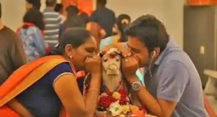 नंदी के कान में मनोकामना नंदी के कान में मनोकामना
