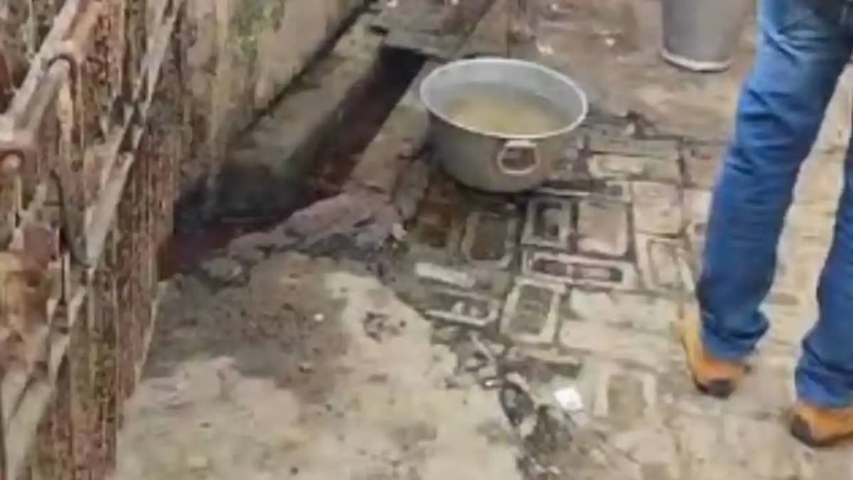 Republic Day Violations Meat Fish Sold Openly in Darbhanga Republic Day Violations Meat Fish Sold Openly in Darbhanga