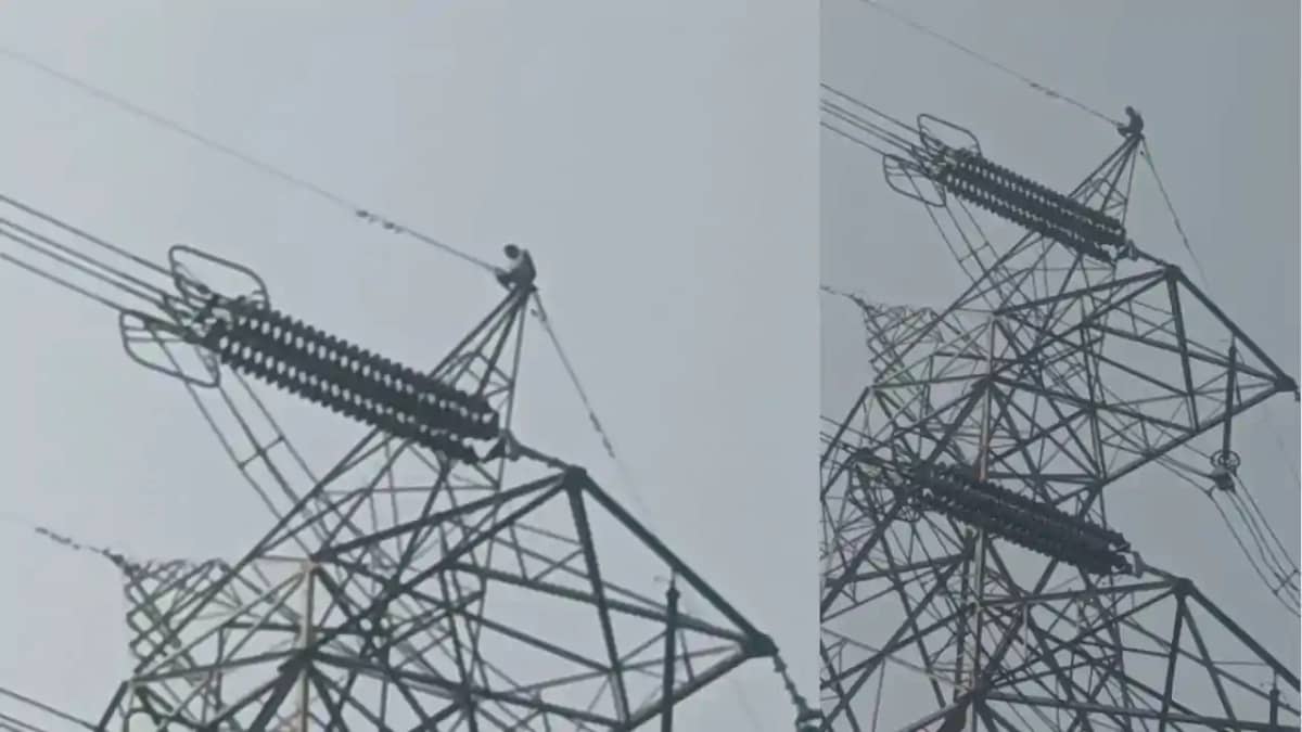 धूप सेकने के लिए 132 KV के पोल पर चढ़ा युवक, ढाई घंटे तक अटक धूप सेकने के लिए 132 KV के पोल पर चढ़ा युवक, ढाई घंटे तक अटक