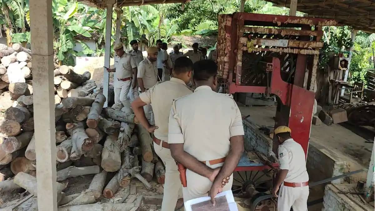 वन विभाग का बड़ा एक्शन: बिहपुर में 3 अवैध आरा मिलें सील, महं वन विभाग का बड़ा एक्शन: बिहपुर में 3 अवैध आरा मिलें सील, महं