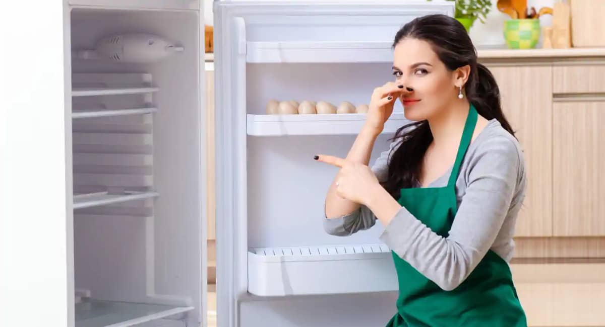 Fridge Cleaning Tips Fridge Cleaning Tips