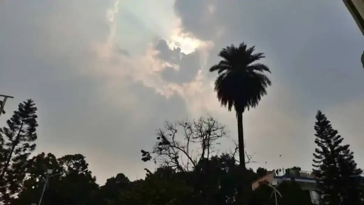 Bihar News : भागलपुर में आंधी-तूफान का तांडव, वज्रपात और आंध Bihar News : भागलपुर में आंधी-तूफान का तांडव, वज्रपात और आंध