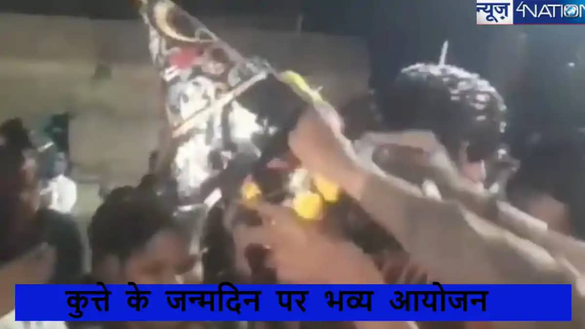ढाबे में काम करने वाले शख्स ने कुत्ते के जन्मदिन पर दी बड़ी ढाबे में काम करने वाले शख्स ने कुत्ते के जन्मदिन पर दी बड़ी