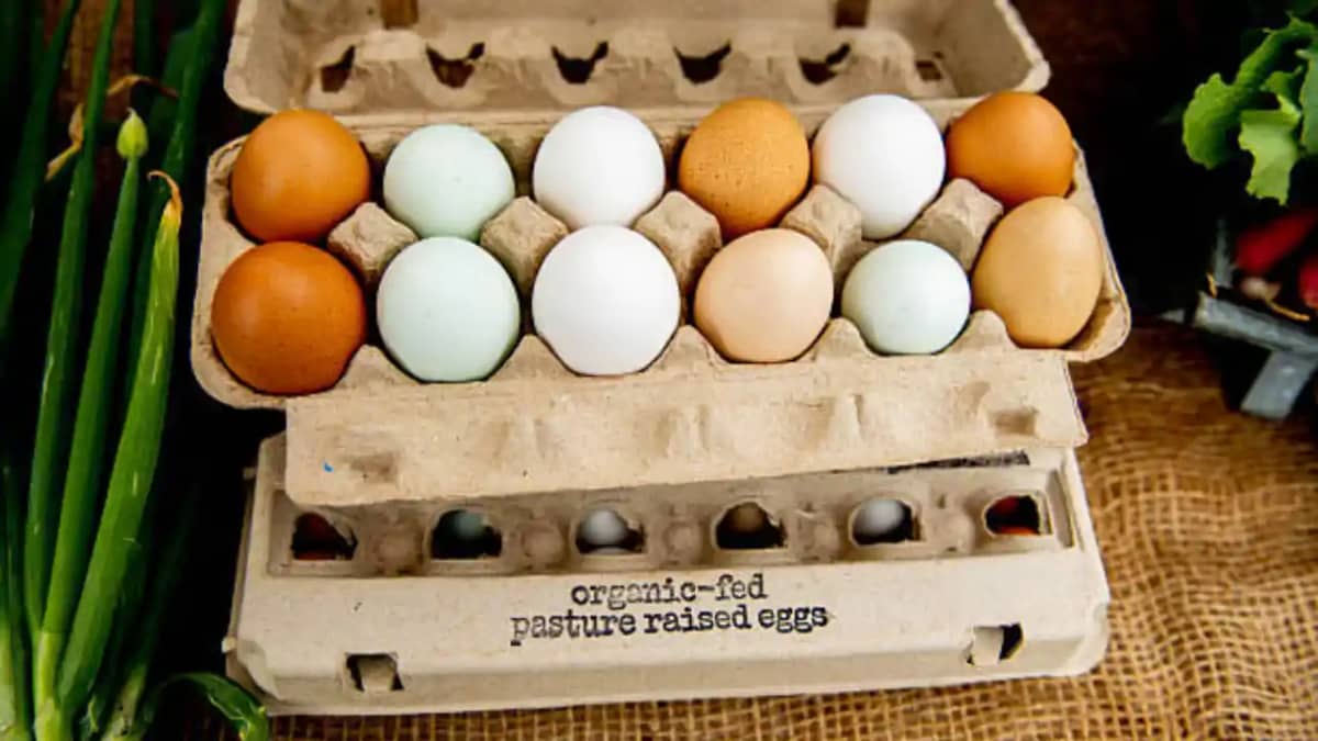 Egg prices Egg prices