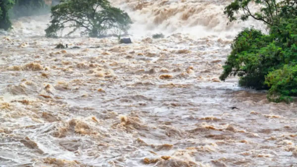 Floods: जब सूरत में आई थी विनाशकारी बाढ़! डायमंड इंडस्ट्री क Floods: जब सूरत में आई थी विनाशकारी बाढ़! डायमंड इंडस्ट्री क