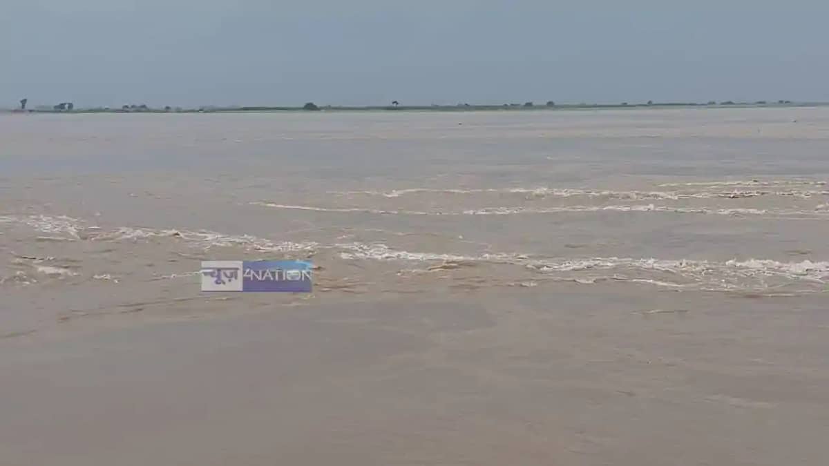 Bhagalpur Embankment at Risk 15m Erosion Triggers Flood Fear Bhagalpur Embankment at Risk 15m Erosion Triggers Flood Fear