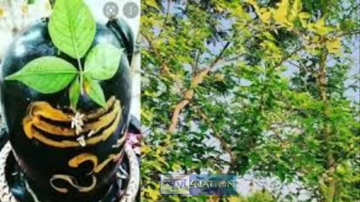 Chitrabhanu Bhil hunter Story Chitrabhanu Bhil hunter Story