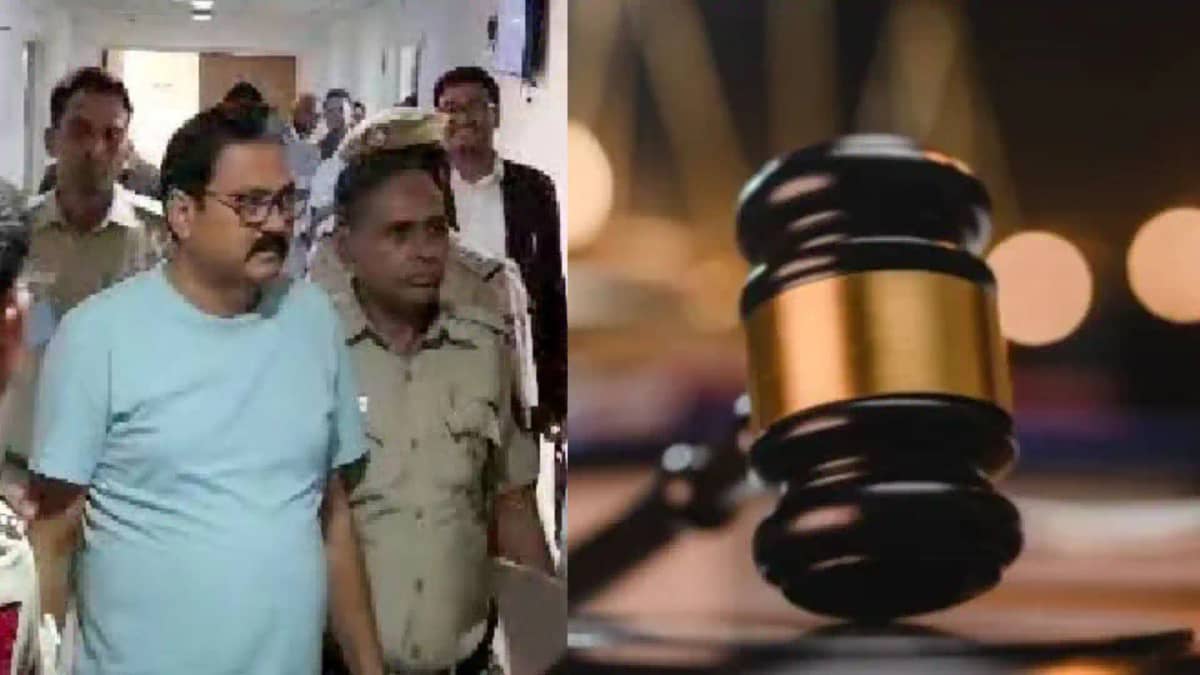 Sahebganj MLA Raju Singh Delhi High Court grant bail Sahebganj MLA Raju Singh Delhi High Court grant bail